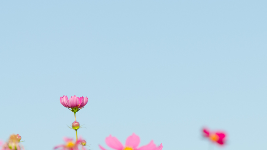 5 Spring MUST Haves with the Willow & Fli Girls