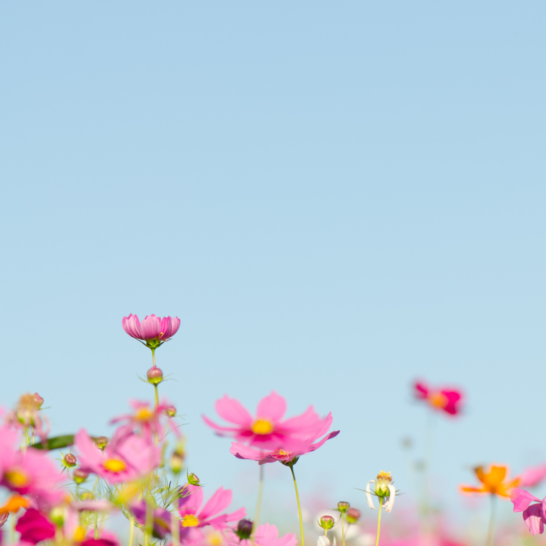 5 Spring MUST Haves with the Willow & Fli Girls