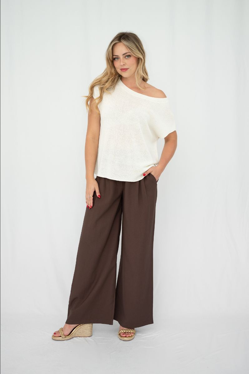 Brown wide leg pants with front pleats and elastic back waist